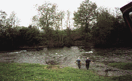 Members restocking the river with fish